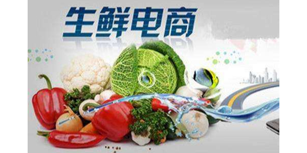 疫情促使移动互联网流量暴增，生鲜电商出现第二春（6）