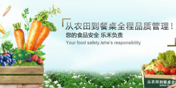 打造完整食材供应链，乐禾食品完成1亿元B轮融资
